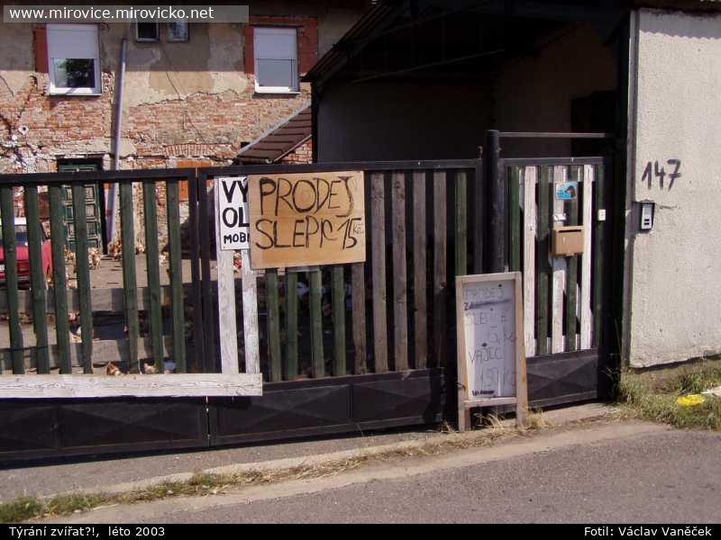 fotka